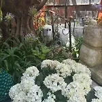 Romana Bed and breakfast